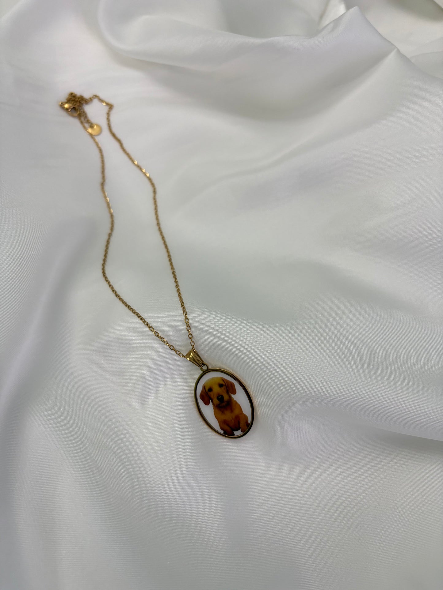 Collana Bassotto Tedesco